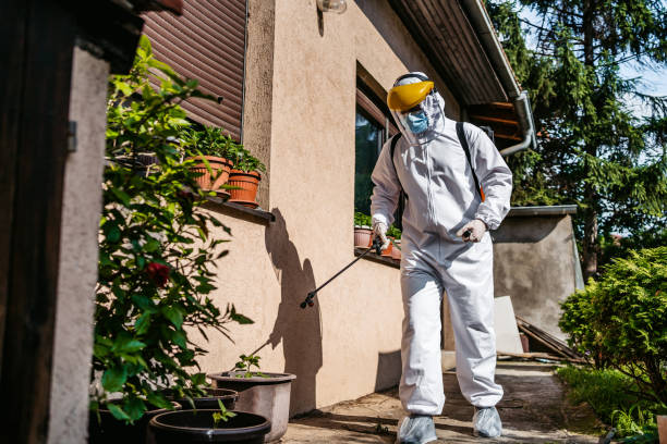 Best Mosquito Control Services  in Halls, TN