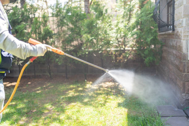 Best Insect Control  in Halls, TN