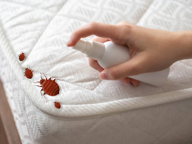 Best Pest Control for Homes  in Halls, TN